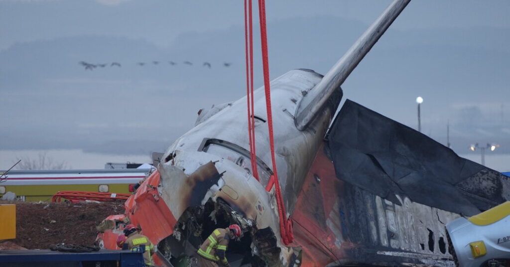 00 int jeju crash birds 01 bfmc facebookJumbo
