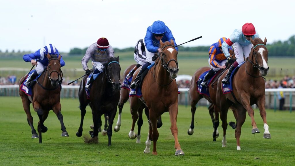 skysports desert flower racing 6906104