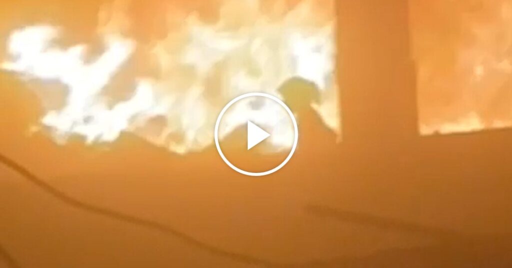 05vid gaza girl facebookJumbo